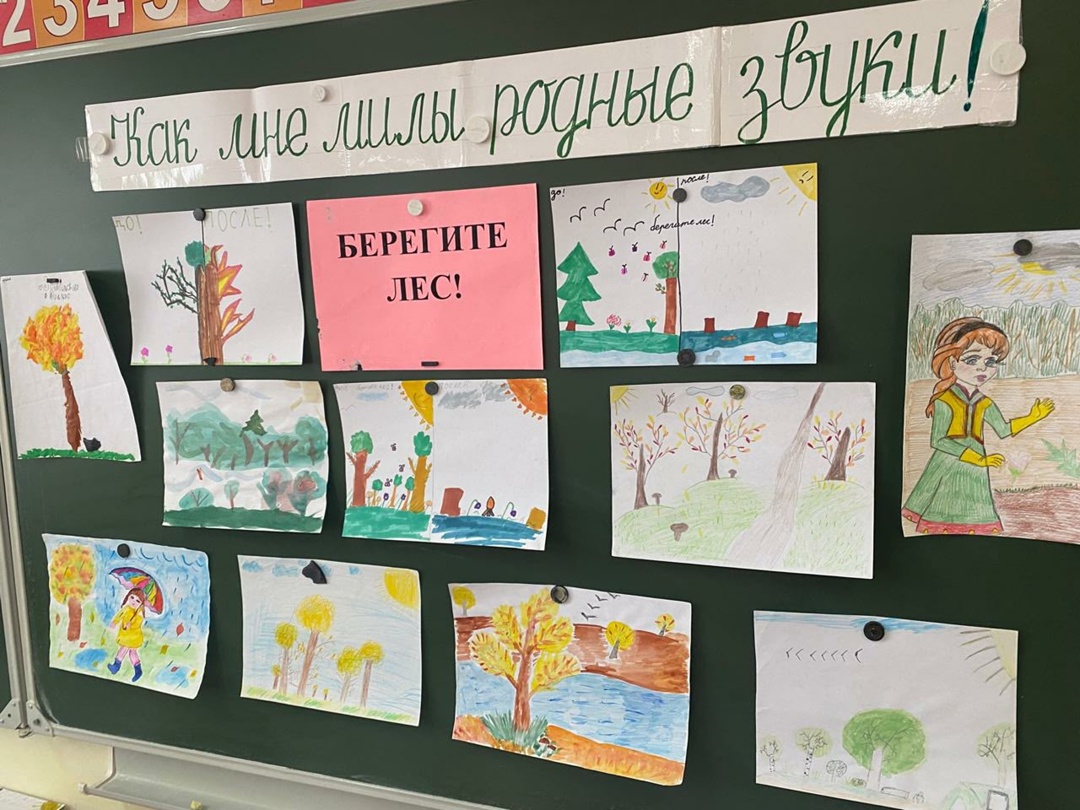 «Полна загадок чудесница-природа».